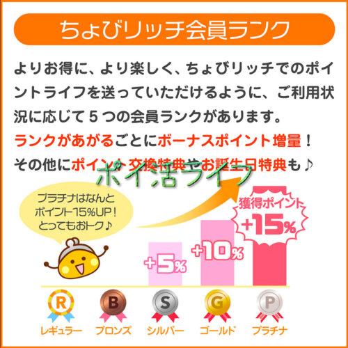 ちょびリッチ会員ランク